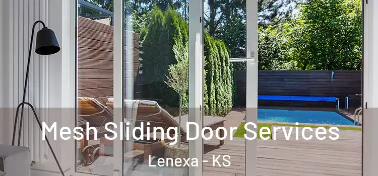 Mesh Sliding Door Services Lenexa - KS